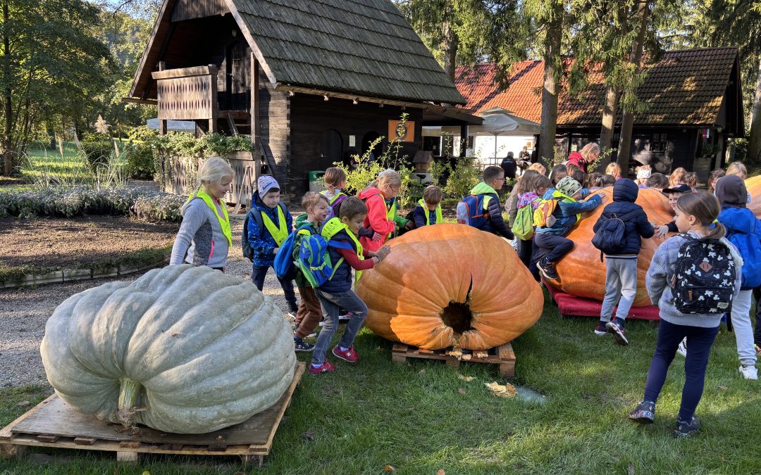 Drugošolci obiskali Mozirski gaj